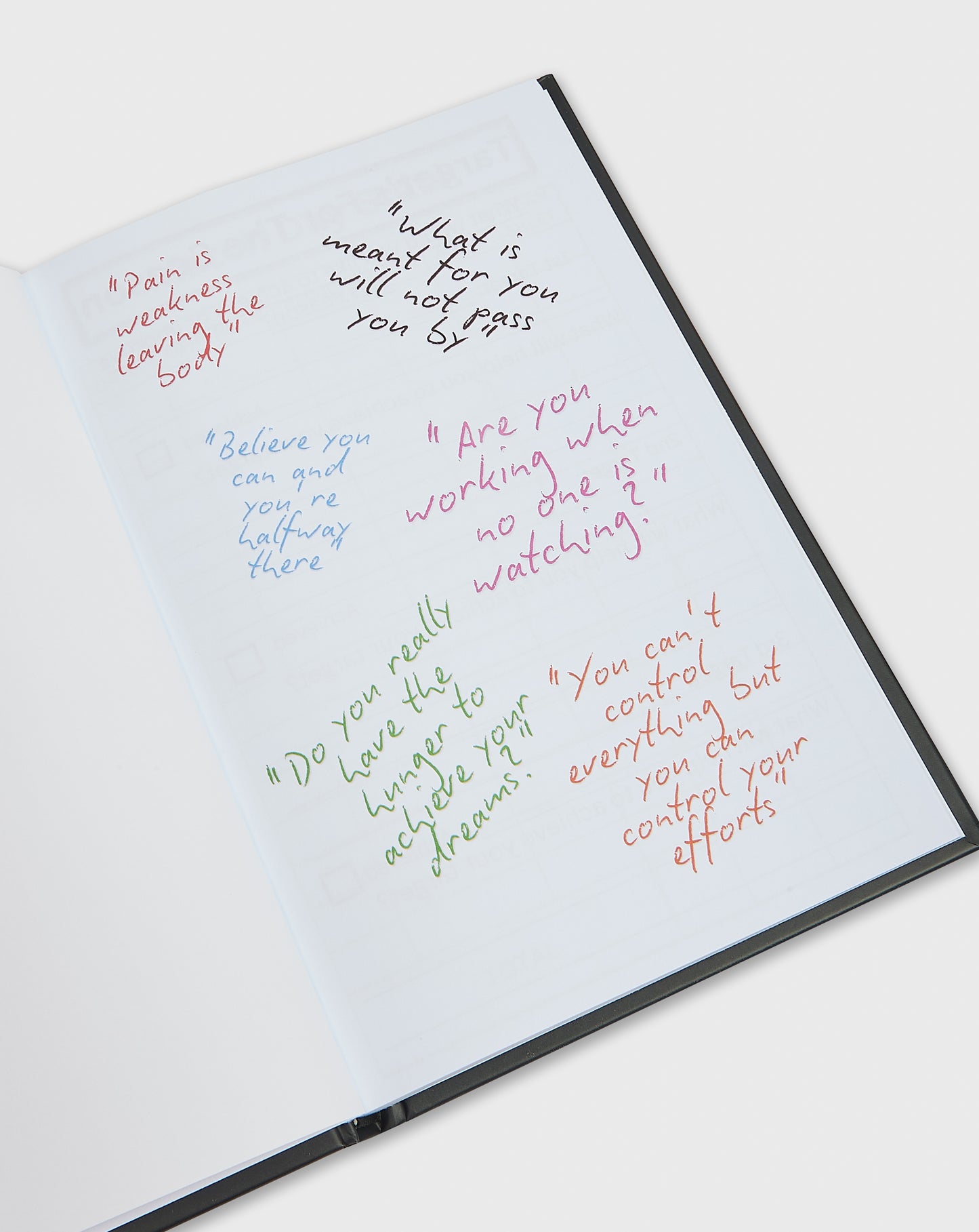 Two Halves Player Journal
